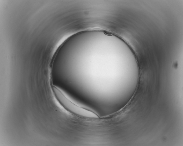 X0000090421476200707272100