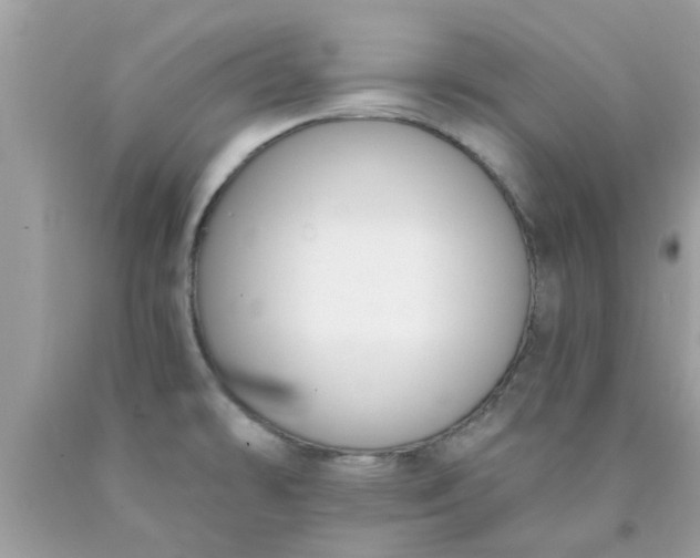 X0000090421478200707272100