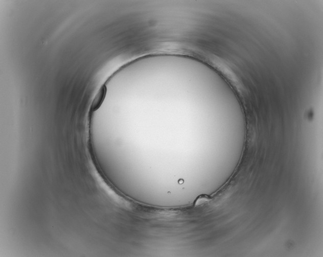 X0000090421479200707272100