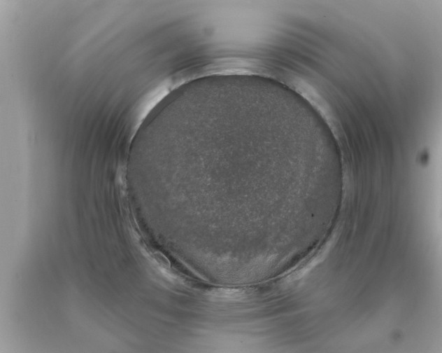 X0000090421481200707272100