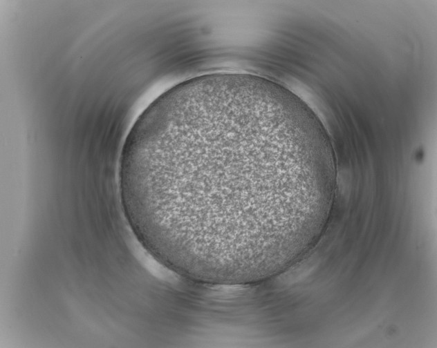 X0000090421482200707272100