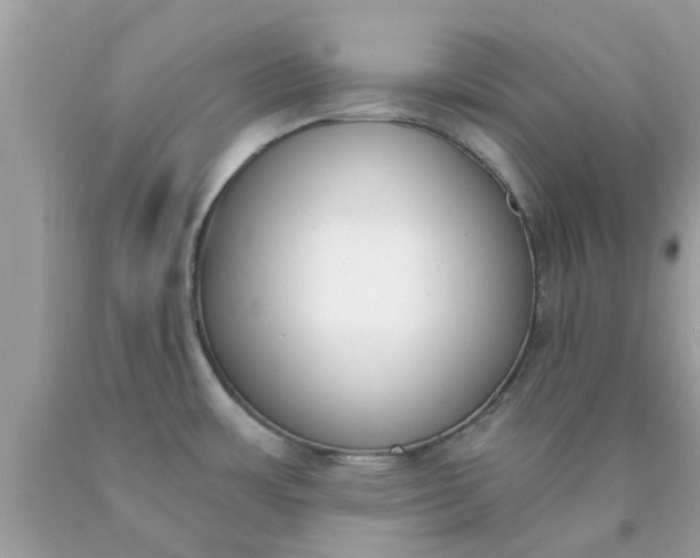 X0000090421483200707272100