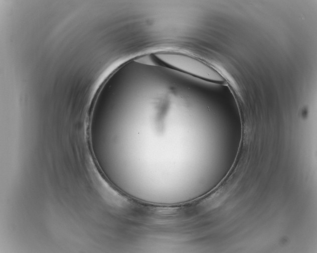 X0000090421484200707272100