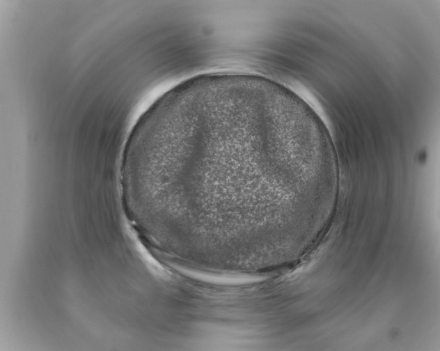 X0000090421485200707272100