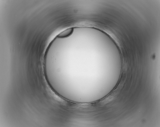 X0000090421486200707272100