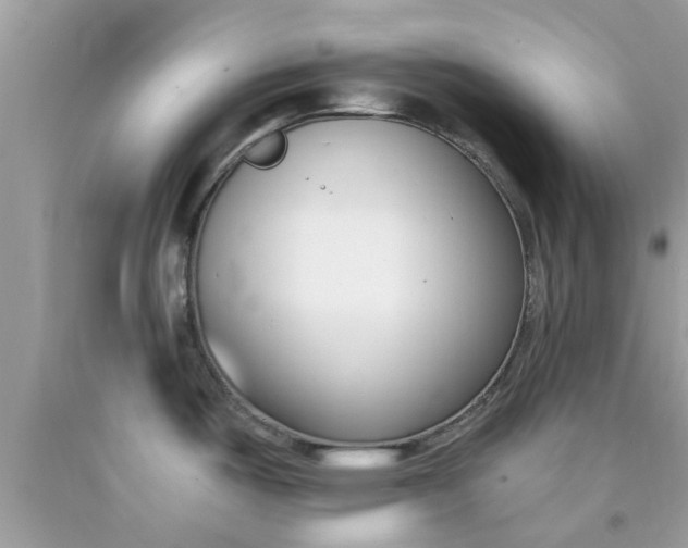 X0000090421487200707272100