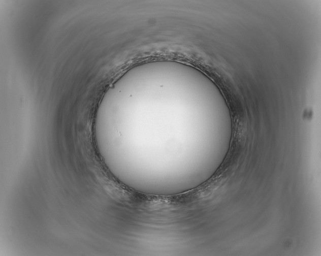 X0000090421489200707272059