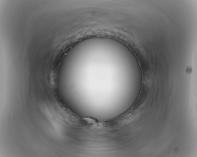 X0000090421490200707272059