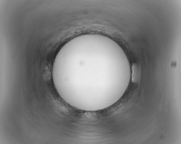 X0000090421491200707272059