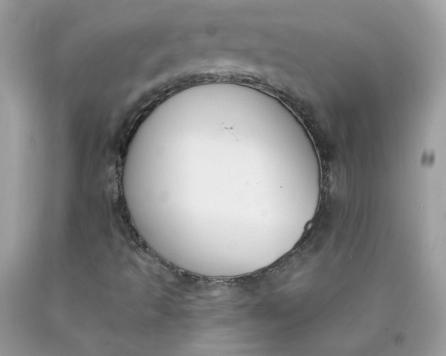 X0000090421493200707272059