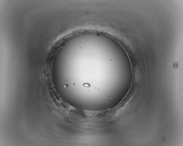 X0000090421494200707272059