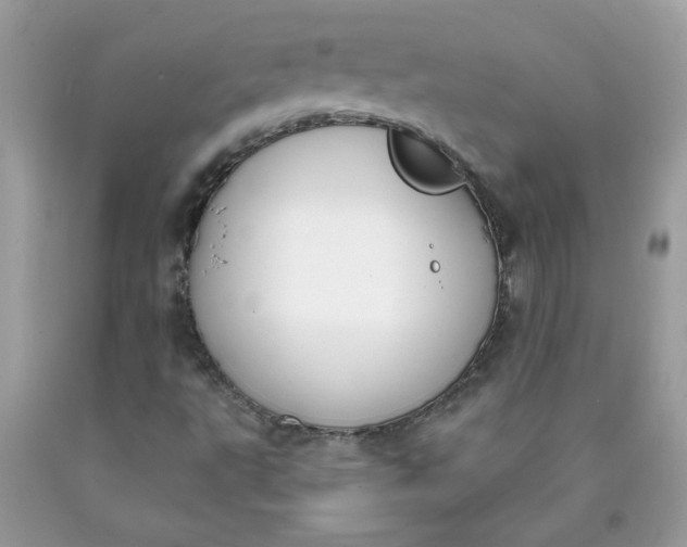 X0000090421495200707272059