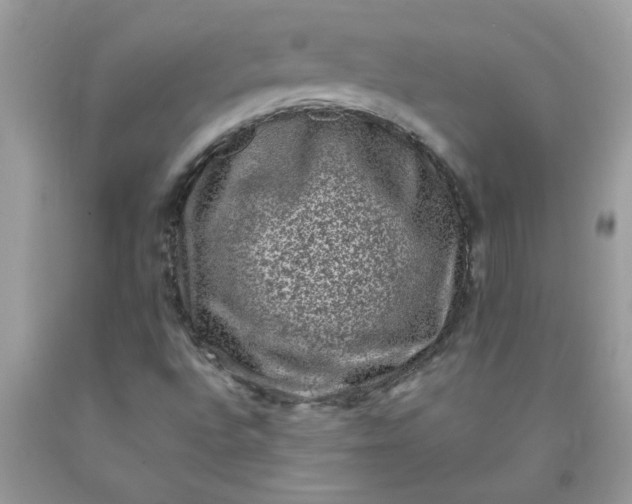 X0000090421496200707272059