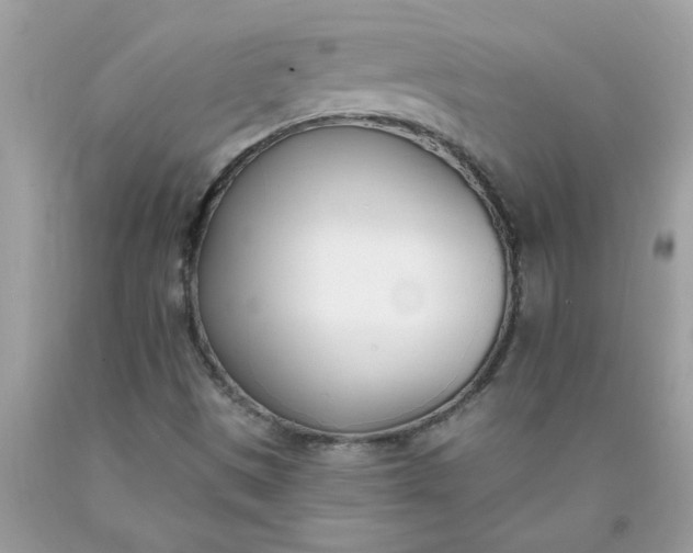 X0000090421497200707272059