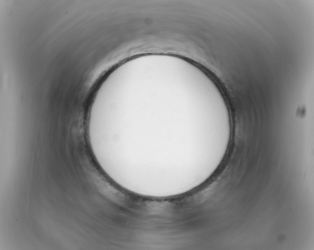 X0000090421498200707272059