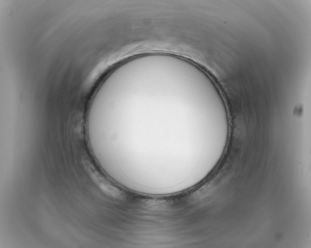 X0000090421499200707272059