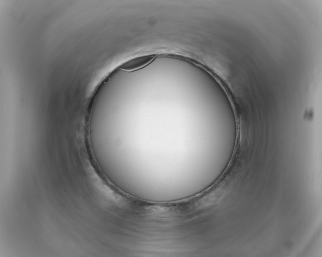 X0000090421500200707272059