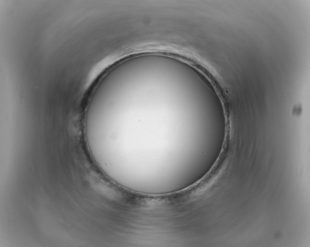 X0000090421501200707272059