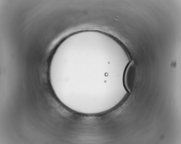 X0000090421502200707272059