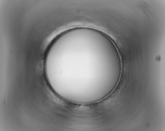 X0000090421503200707272059