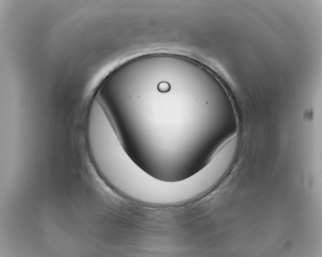 X0000090421504200707272059