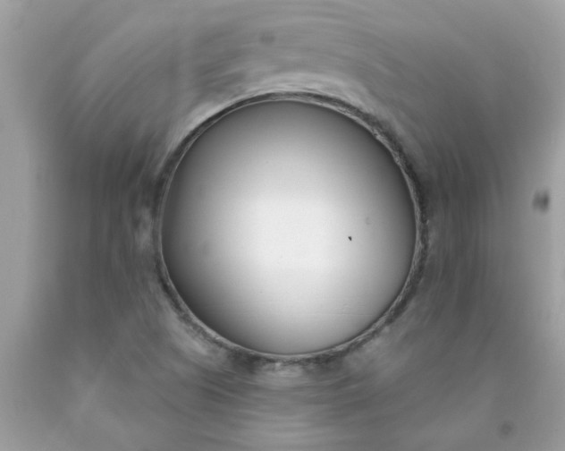 X0000090421505200707272059