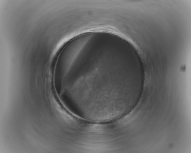 X0000090421506200707272059