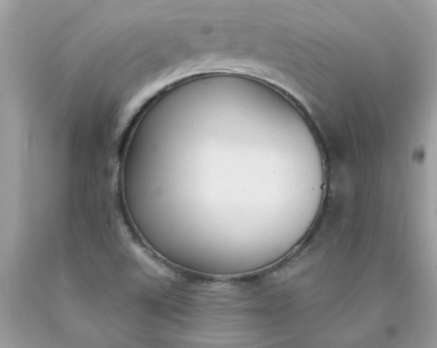 X0000090421507200707272100