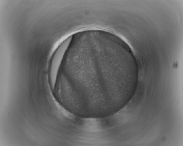 X0000090421508200707272100