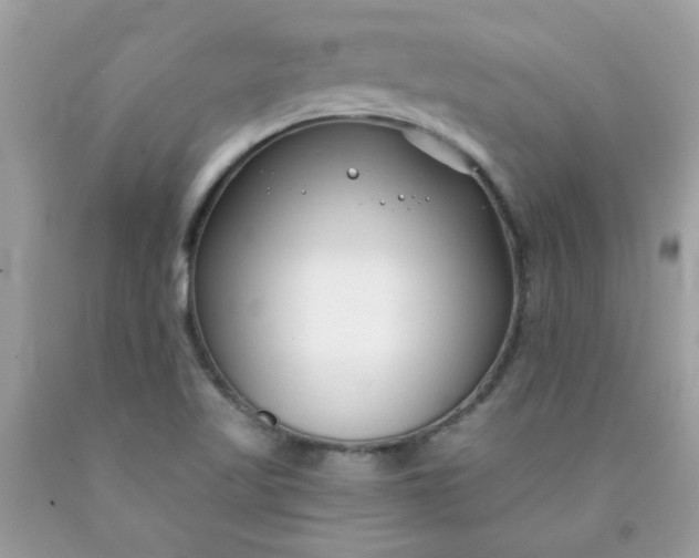 X0000090421509200707272100