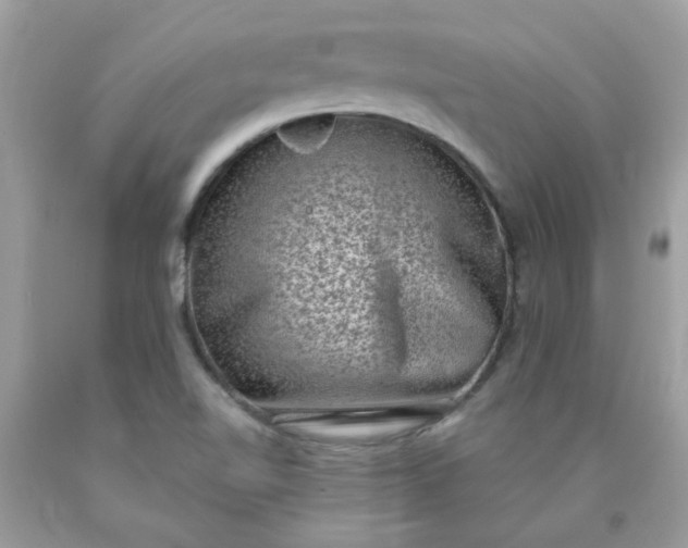 X0000090421510200707272100