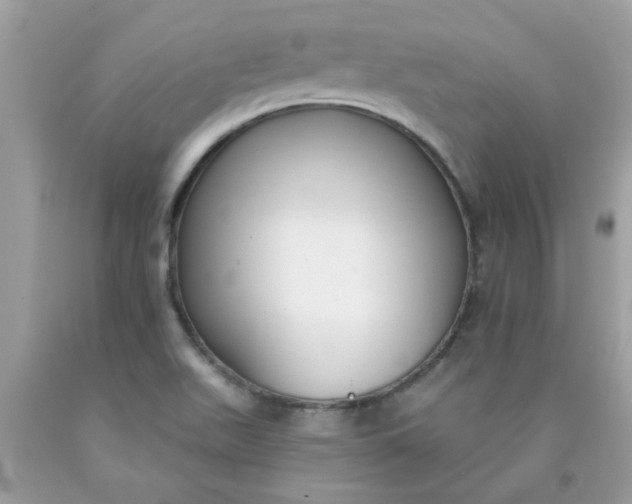 X0000090421511200707272100