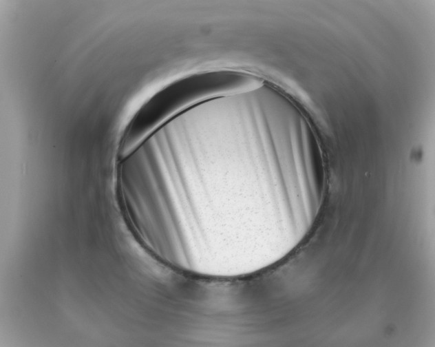 X0000090421512200707272100