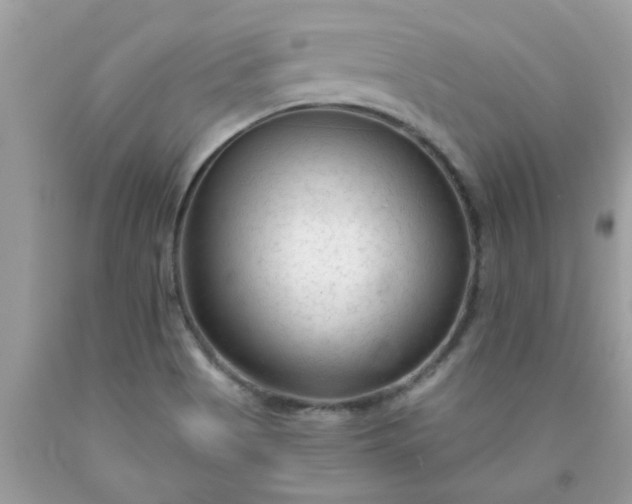 X0000090421513200707272100