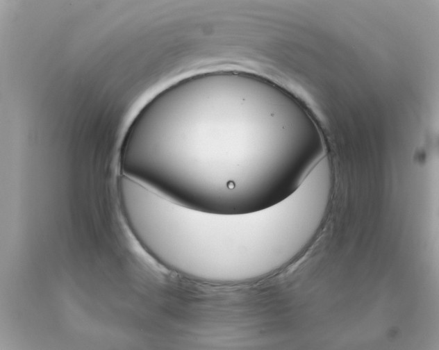 X0000090421516200707272100