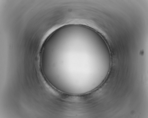 X0000090421517200707272100