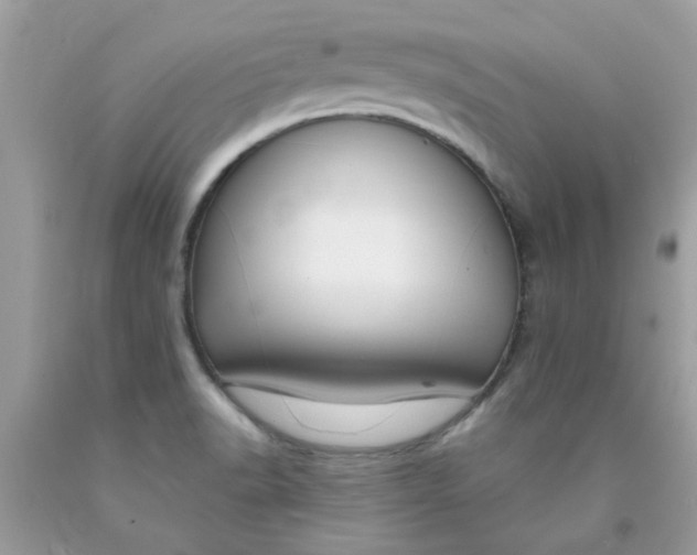 X0000090421518200707272100