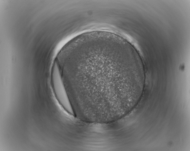 X0000090421520200707272100