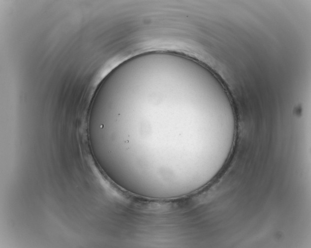 X0000090421521200707272100