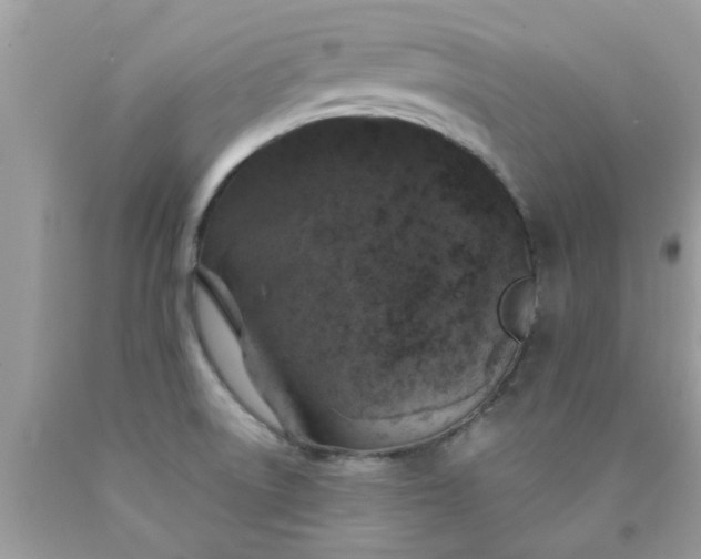 X0000090421522200707272100