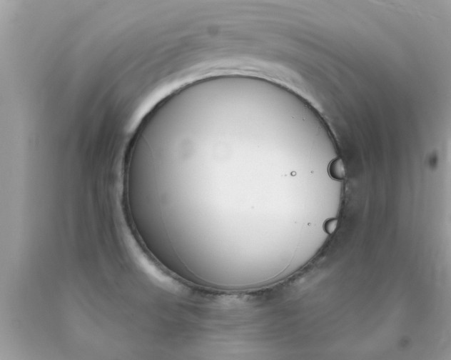 X0000090421523200707272100