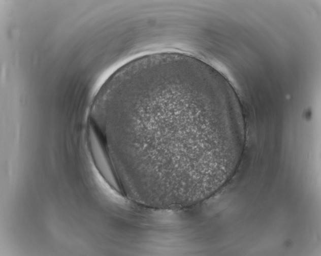 X0000090421524200707272100