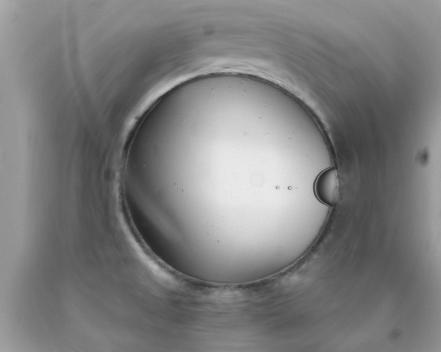 X0000090421525200707272100