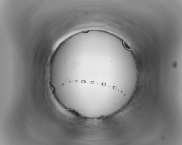 X0000090421526200707272100