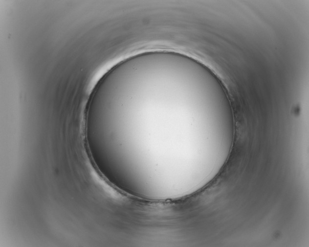 X0000090421527200707272100