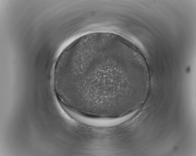 X0000090421528200707272100