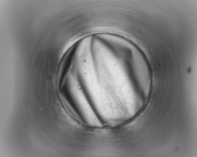 X0000090421529200707272100