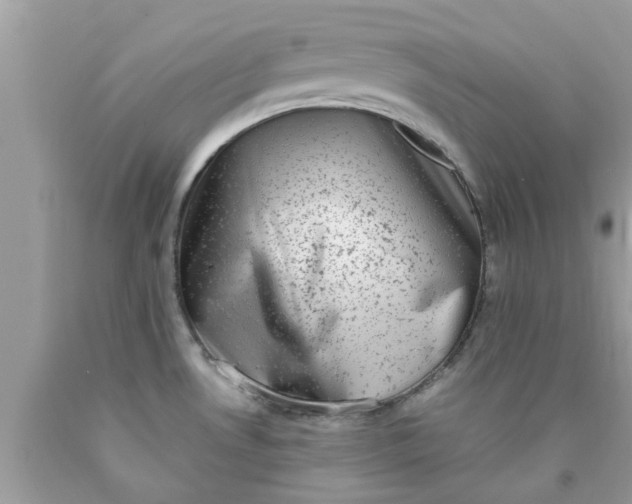 X0000090421530200707272100