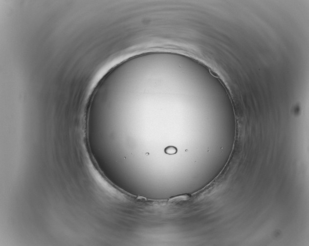 X0000090421531200707272100