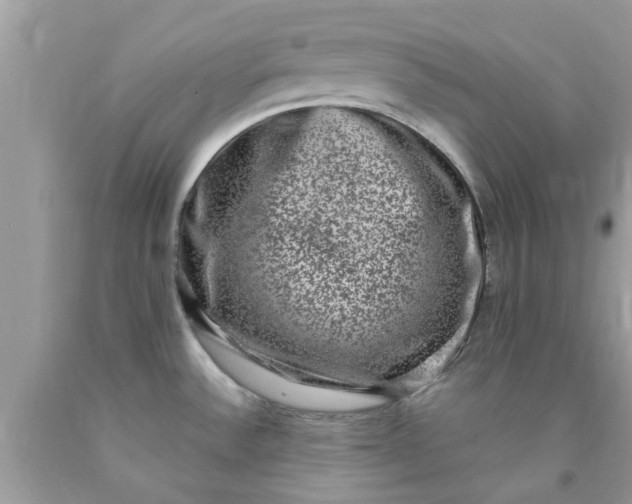 X0000090421532200707272100